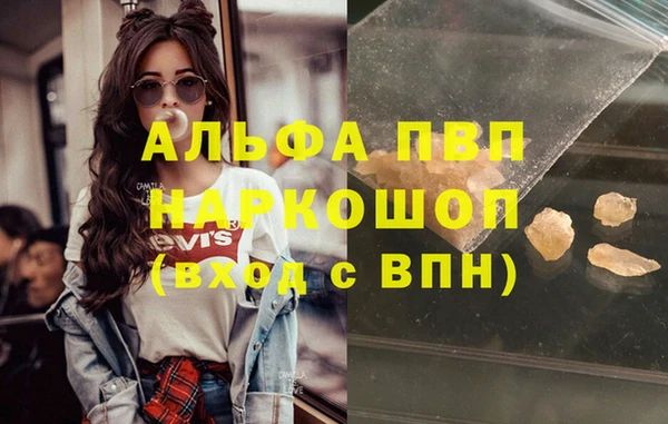 хмурый Алзамай